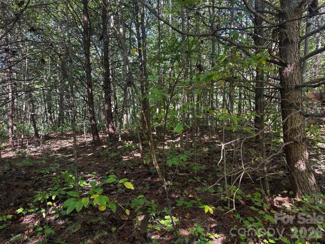 Land for sale in Rutherford, North Carolina