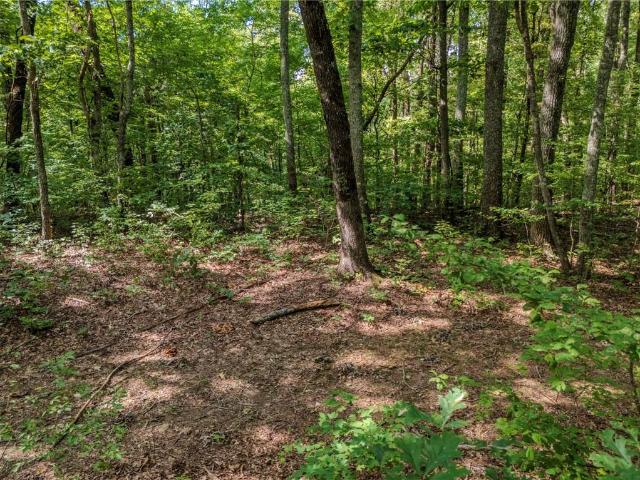 Land for sale in Pickens, Georgia