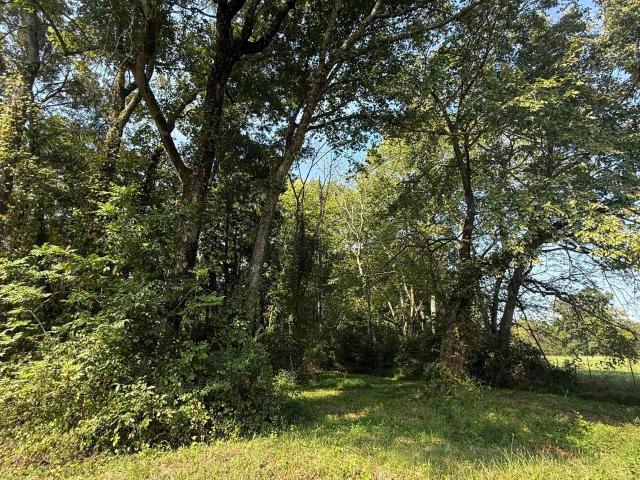 Land for sale in Leighton, Colbert County