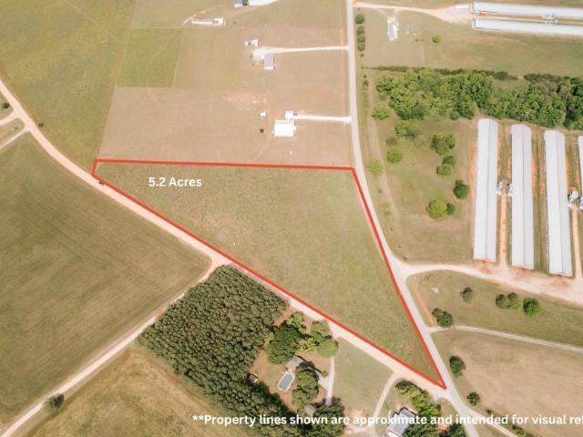 Land for sale in Comer, Georgia