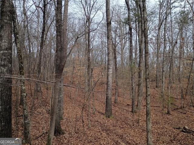 Land for sale in Varnell, Georgia