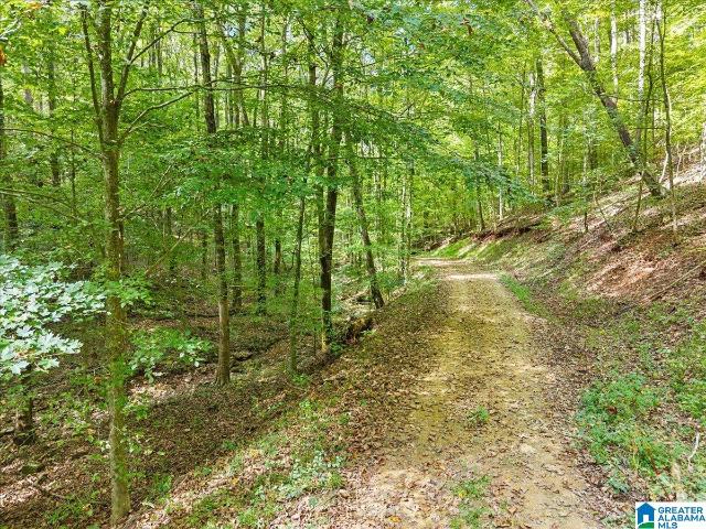 Land for sale in Springville, St. Clair County