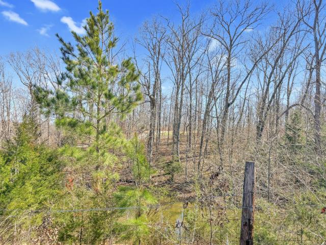 Land for sale in Tennessee