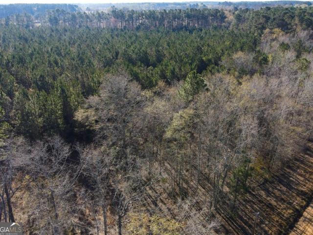 Land for sale in Statesboro, Georgia
