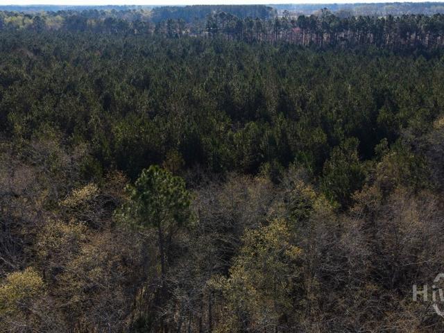 Land for sale in Statesboro, Georgia