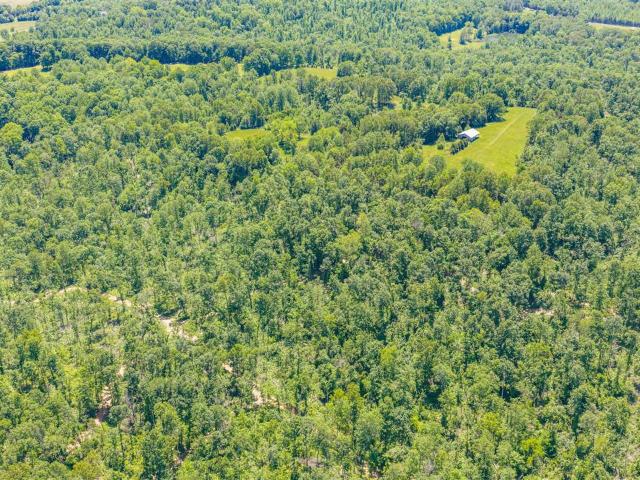 Land for sale in Bowling Green, Kentucky