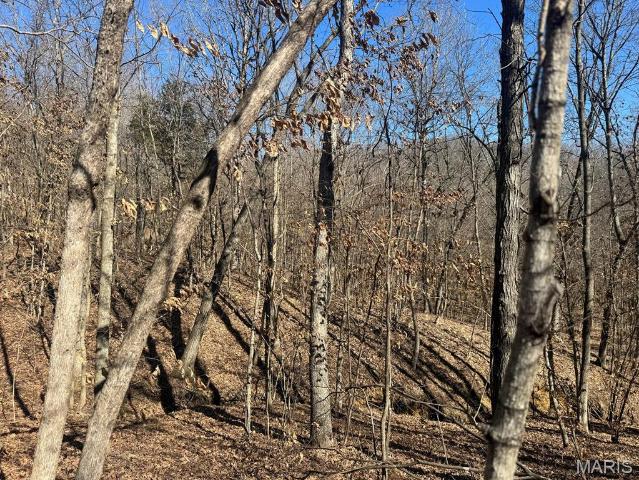 Land for sale in Monroe City, Missouri
