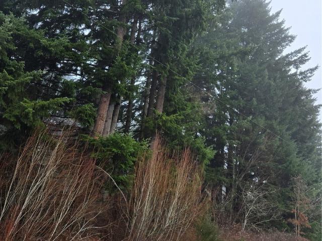 Land for sale in Chehalis, Washington