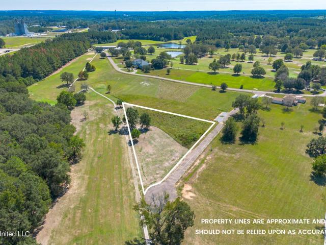 Land for sale in Collins, Mississippi