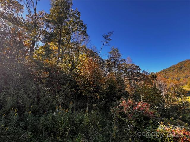 Land for sale in Haywood, North Carolina