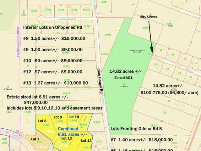 Land for sale in Alpine, Alabama