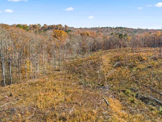Land for sale in South Vinemont, Cullman County
