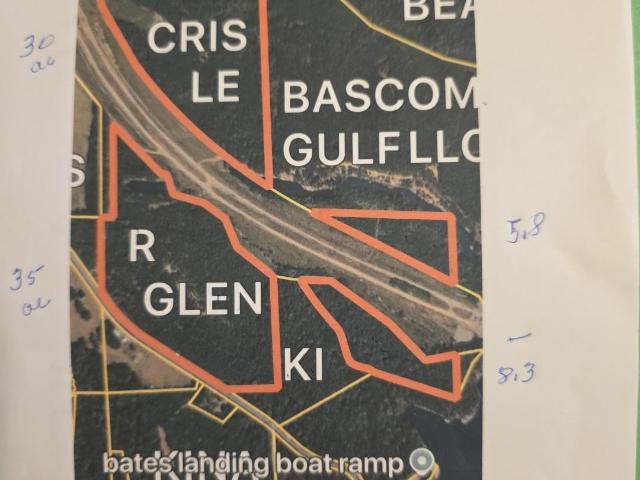 Land for sale in Phil Campbell, Alabama