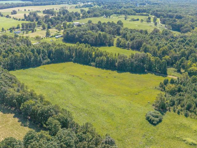 Land for sale in Alabama