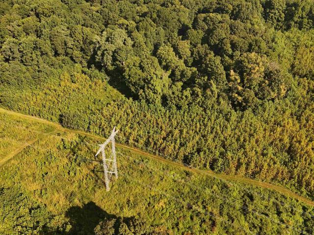 Land for sale in Gibson, Indiana
