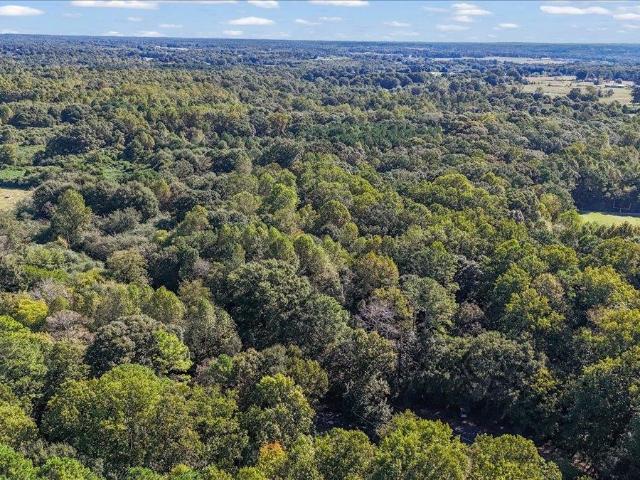 Land for sale in Fairview, Cullman County