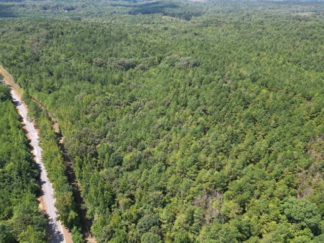 Land for sale in Detroit, Alabama