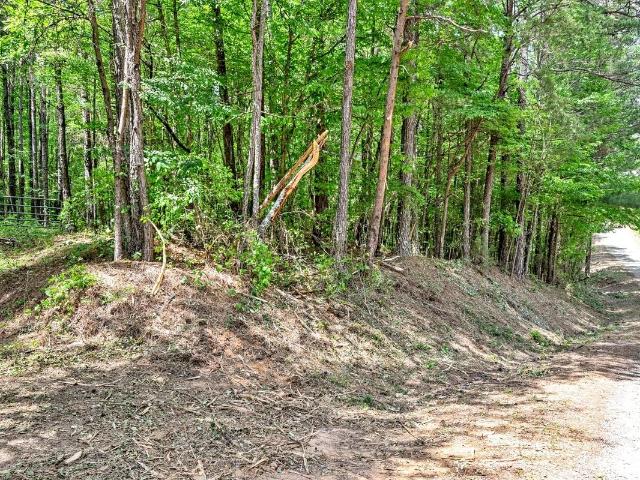 Land for sale in Hanceville, Alabama