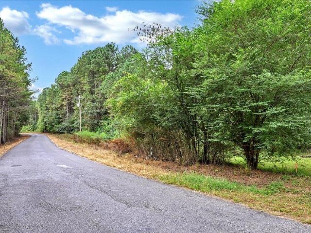 Land for sale in Alabama