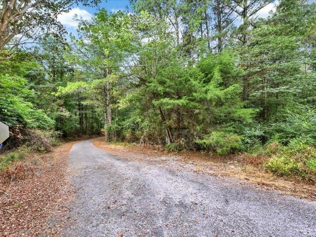Land for sale in Alabama