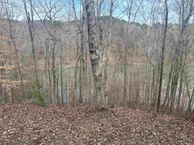 Land for sale in Alabama
