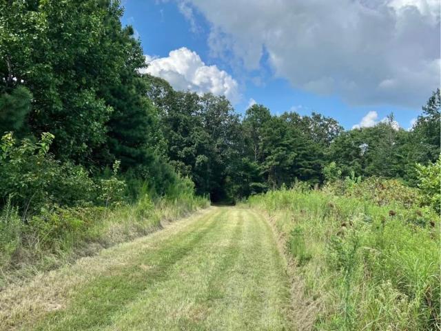Land for sale in Cullman, Alabama