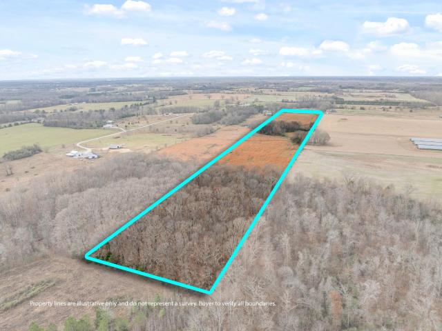 Land for sale in Rogersville, Alabama