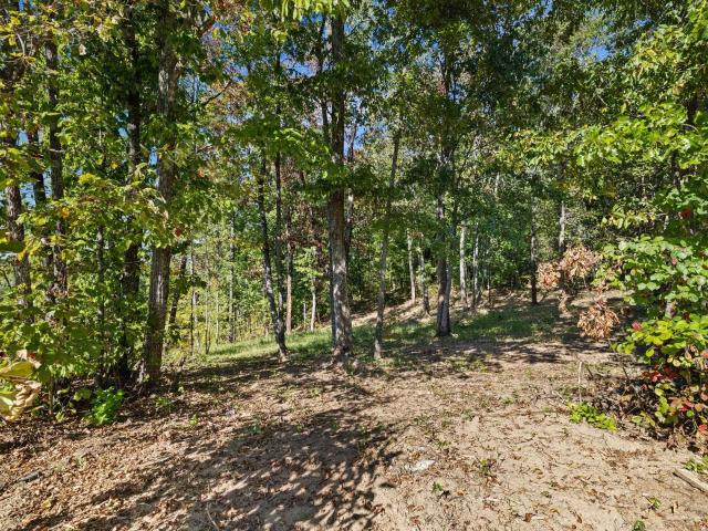 Land for sale in Hanceville, Cullman County