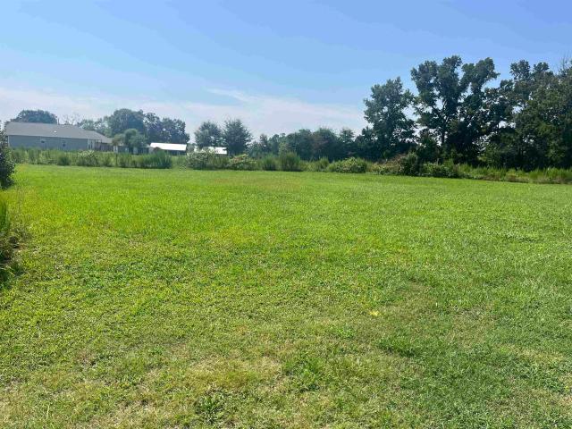 Land for sale in Hanceville, Alabama