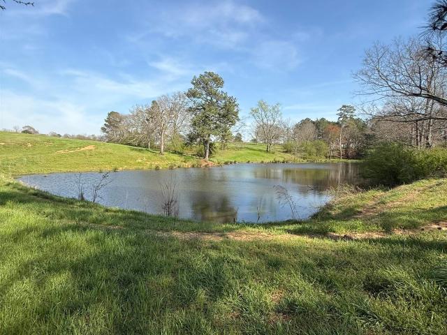 Land for sale in Cullman, Alabama