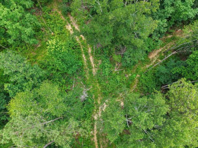 Land for sale in Alabama