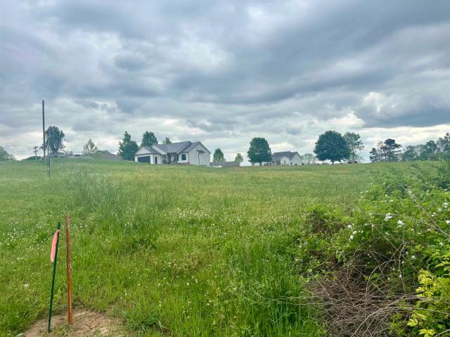 Land for sale in Alabama