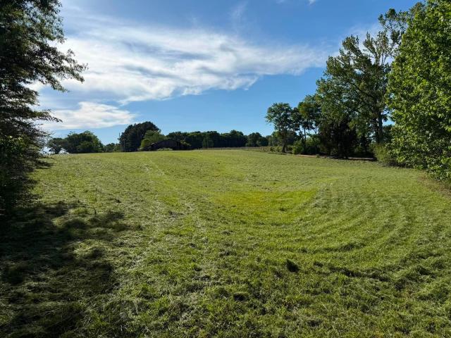 Land for sale in Rogersville, Alabama