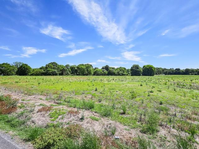 Land for sale in Rogersville, Alabama