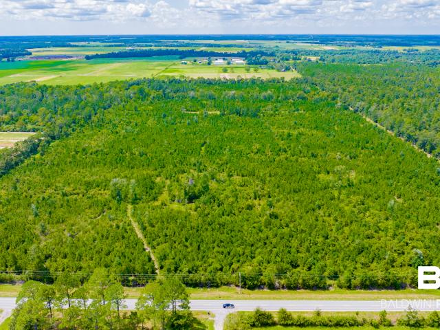 Land for sale in Elberta, Alabama
