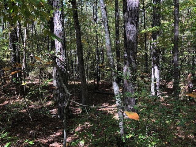 Land for sale in Jackson, Georgia