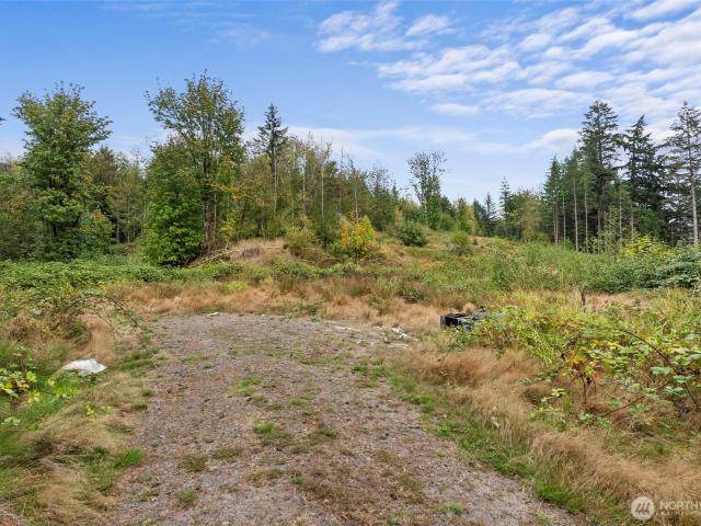 Land for sale in Chehalis, Lewis County