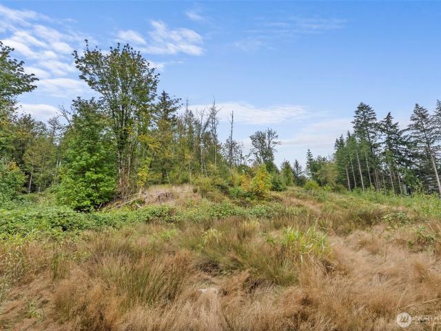 Land for sale in Chehalis, Lewis County
