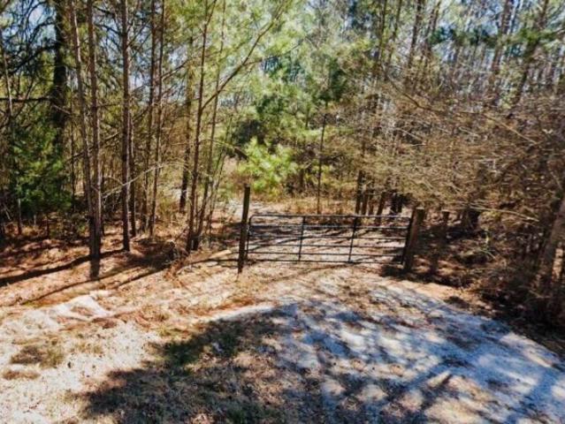 Land for sale in Tyrone, Georgia