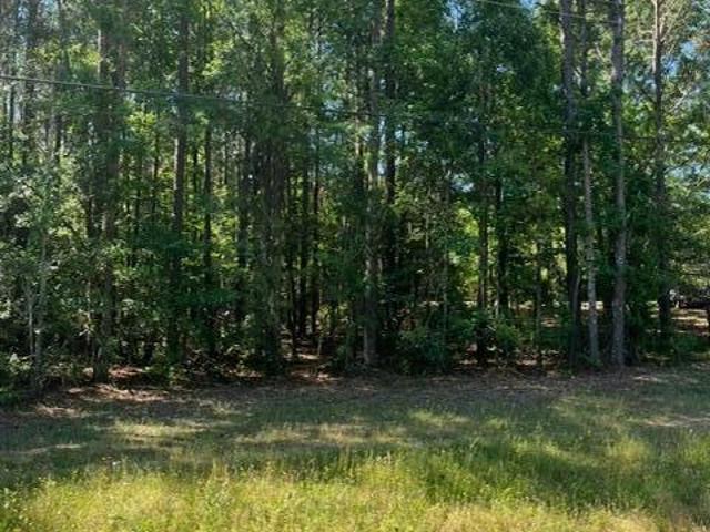 Land for sale in Appling, Georgia