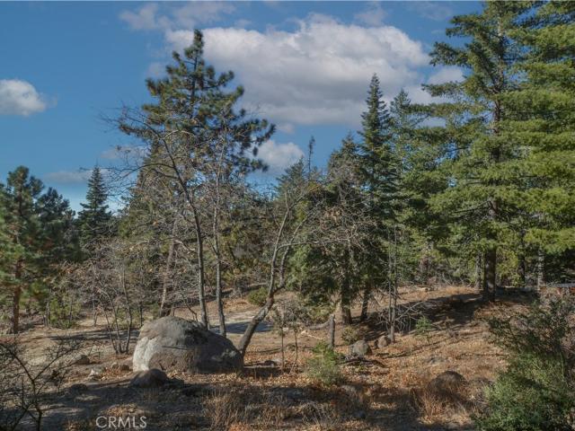 Land for sale in Green Valley Lake, California