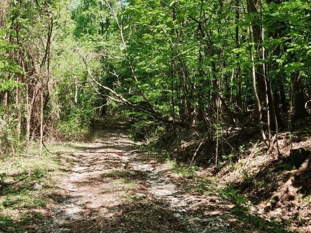 Land for sale in Tennessee