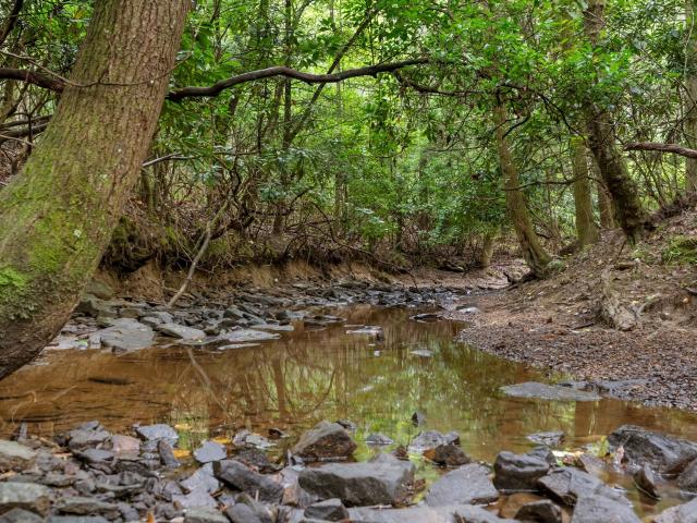 Farm for sale in Tennessee