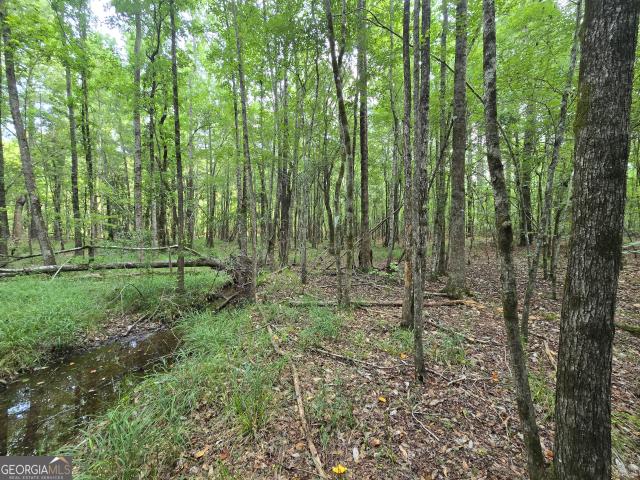 Land for sale in Dublin, Georgia