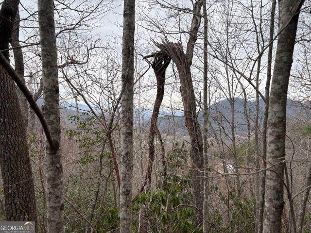 Land for sale in Mountain City, Georgia