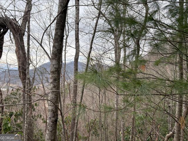 Land for sale in Mountain City, Georgia