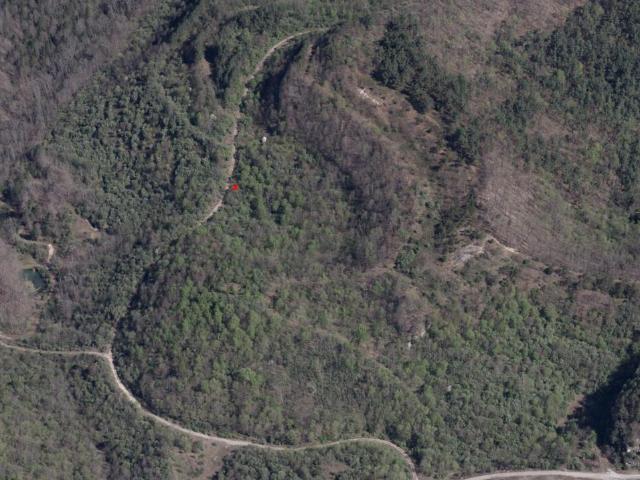 Land for sale in Inez, Kentucky