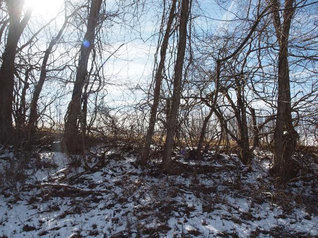 Land for sale in Virginia