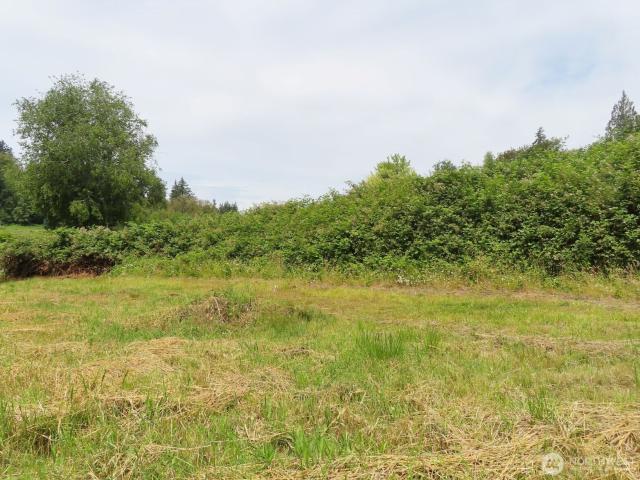 Land for sale in Mossyrock, Washington