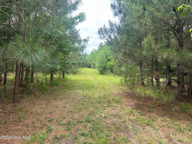 Land for sale in Ahoskie, North Carolina